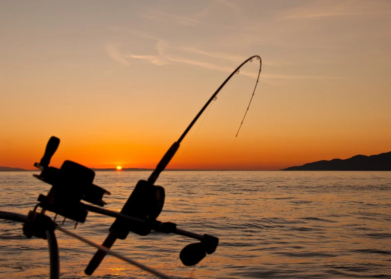 Reasons Why Fishing Is Good For You