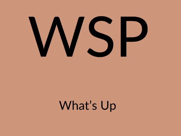 WSP meaning what's up