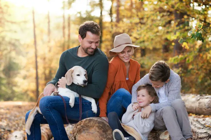 Dog with family