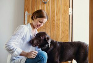 Understanding Pet Psychology Building and Strengthening Bonds with Your Pet