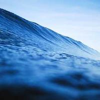 B Tech Chronicles Copy2