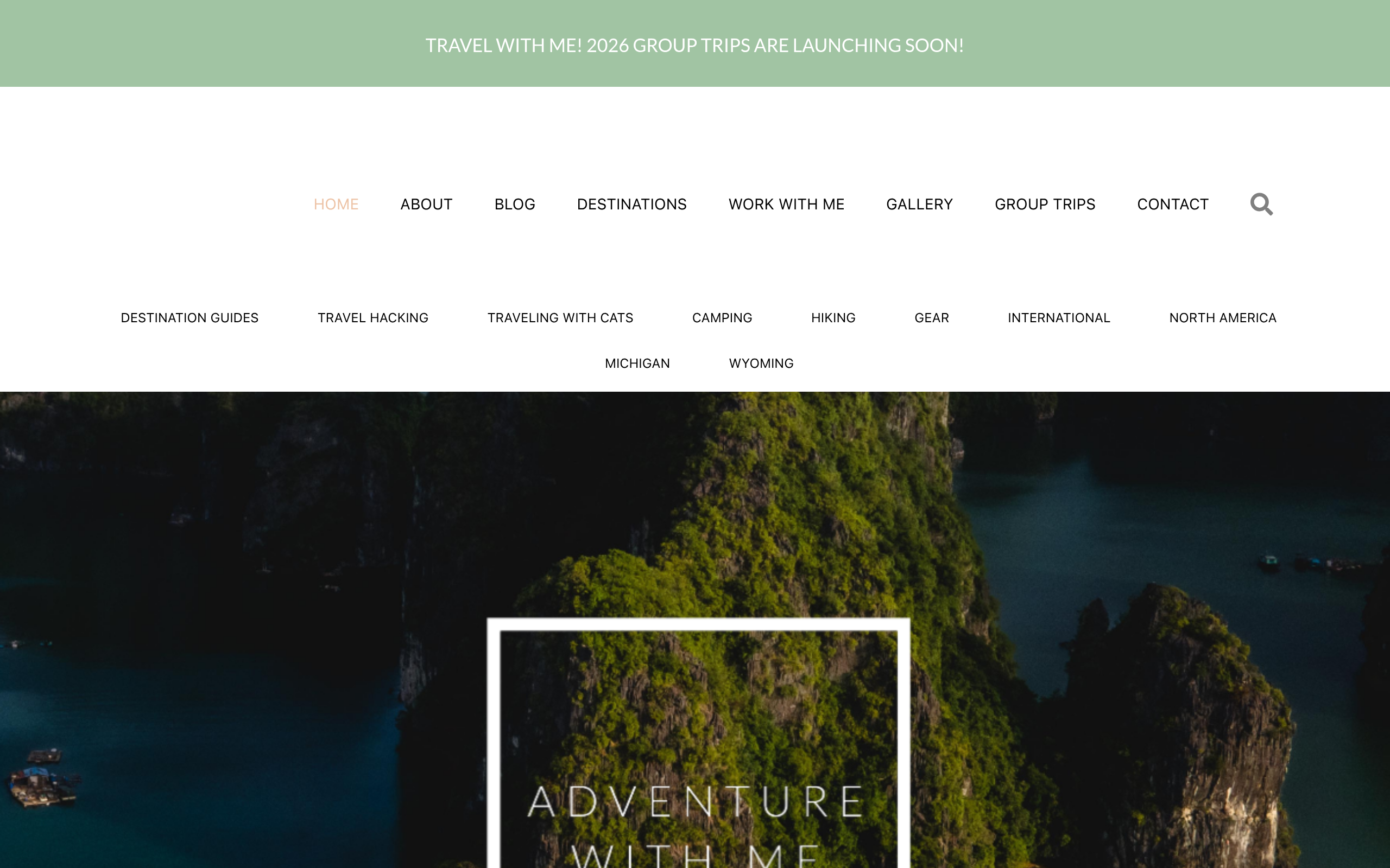 Shalee Wanders website preview