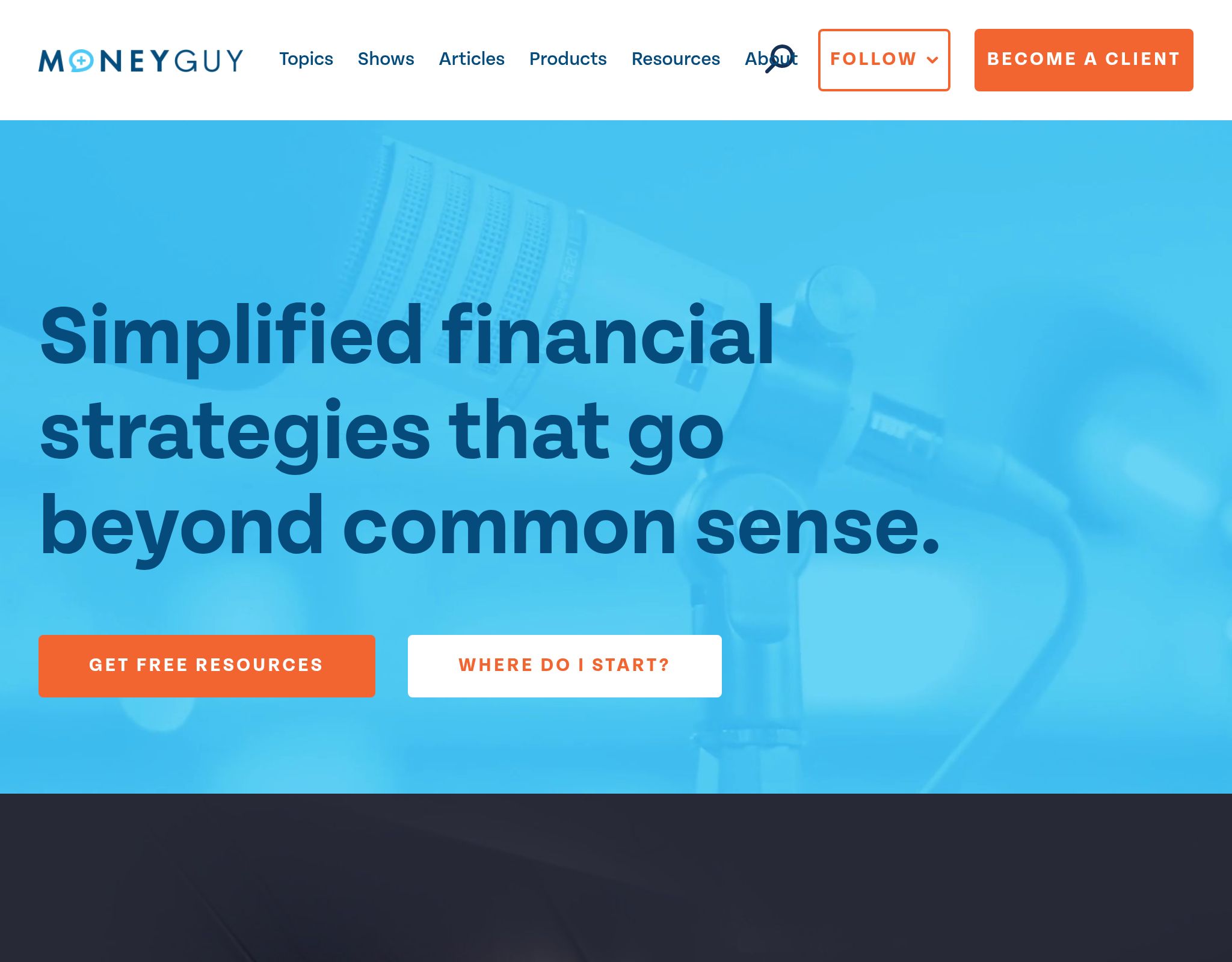 Money Guy website preview