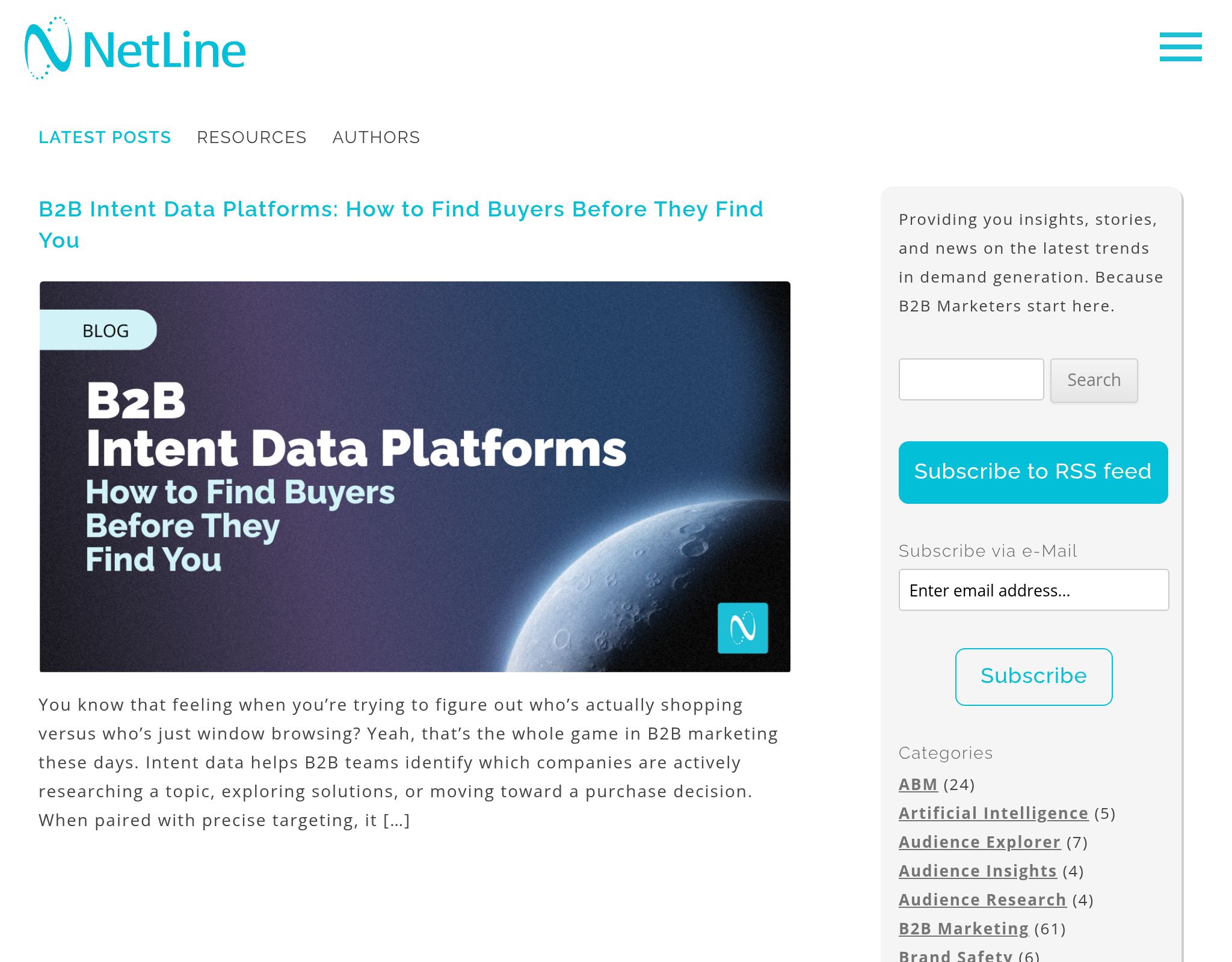 NetLine B2B Marketing Blog website preview